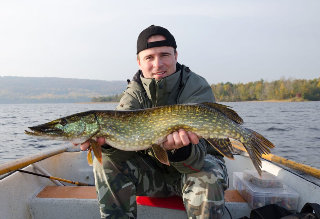 Fish in the Wild: DIY vs Guided Fishing Adventures