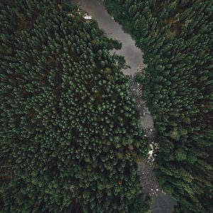DJI_0264